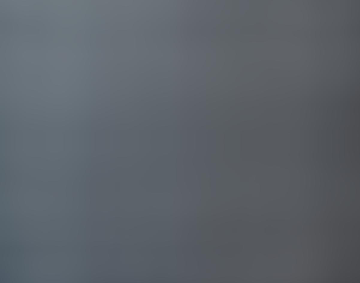 Web profesional personalizada